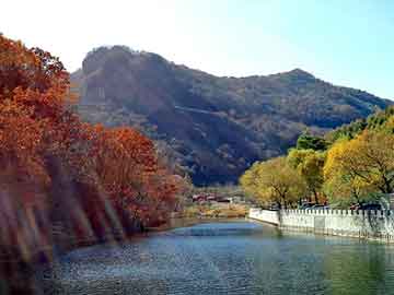 管家婆黑白马报图库，夺命交换